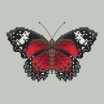 (image for) Lacewing